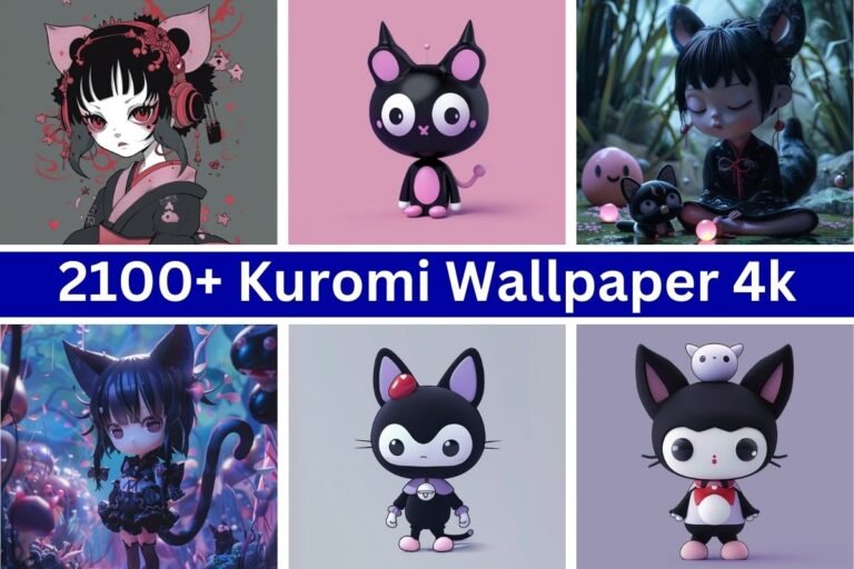 Kuromi Wallpaper